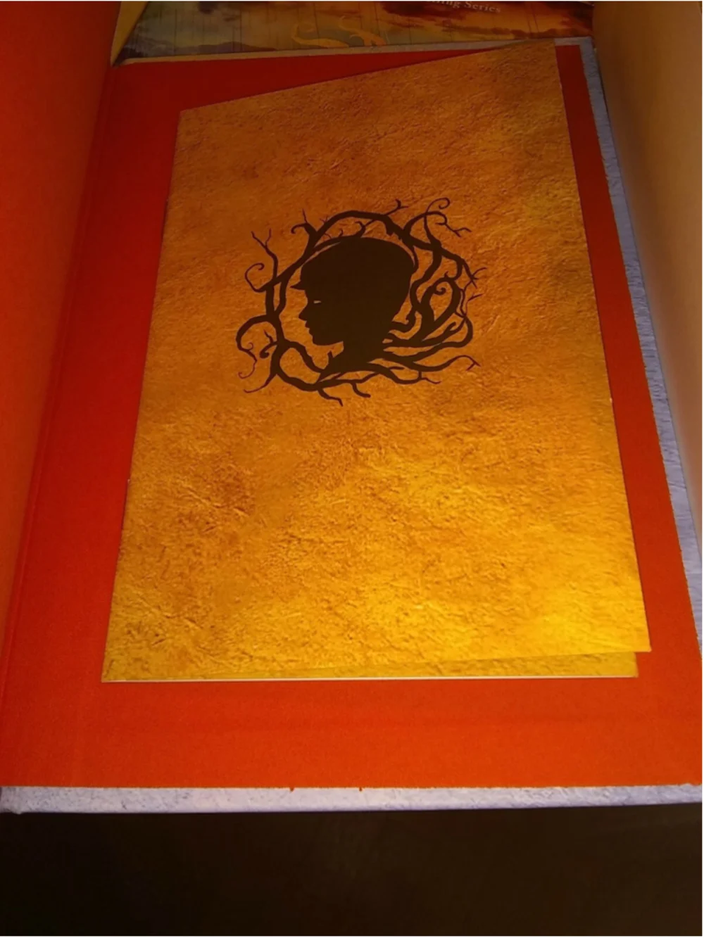 Serafina and the Splintered Heart Hardcover New Signed Copy Exclusive Copy B & N